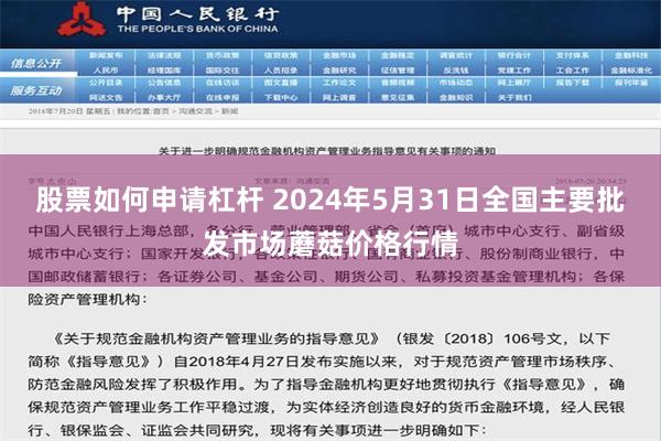 股票如何申请杠杆 2024年5月31日全国主要批发市场蘑菇价格行情