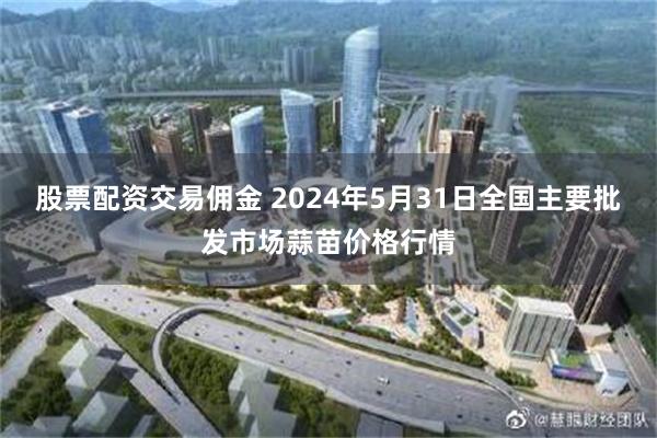 股票配资交易佣金 2024年5月31日全国主要批发市场蒜苗价格行情