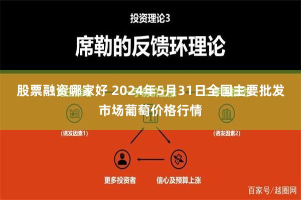 股票融资哪家好 2024年5月31日全国主要批发市场葡萄价格行情