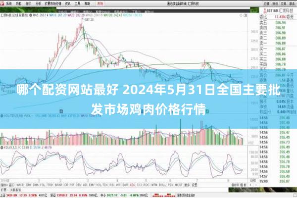 哪个配资网站最好 2024年5月31日全国主要批发市场鸡肉价格行情