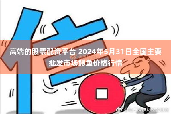 高端的股票配资平台 2024年5月31日全国主要批发市场鳗鱼价格行情