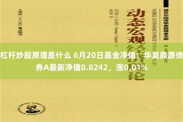 杠杆炒股原理是什么 6月20日基金净值：华夏鼎源债券A最新净值0.8242，涨0.01%