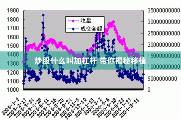 炒股什么叫加杠杆 带你揭秘移植