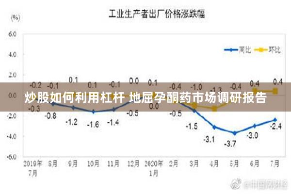 炒股如何利用杠杆 地屈孕酮药市场调研报告