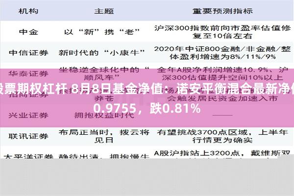 股票期权杠杆 8月8日基金净值：诺安平衡混合最新净值0.9755，跌0.81%