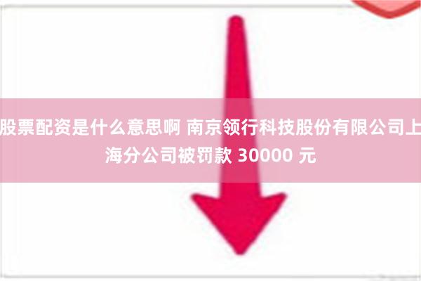 股票配资是什么意思啊 南京领行科技股份有限公司上海分公司被罚款 30000 元