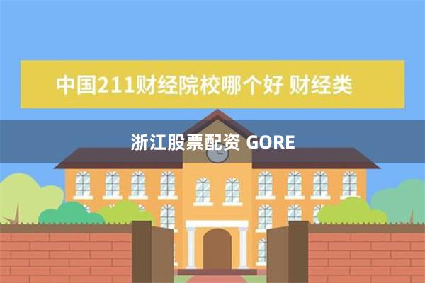 浙江股票配资 GORE