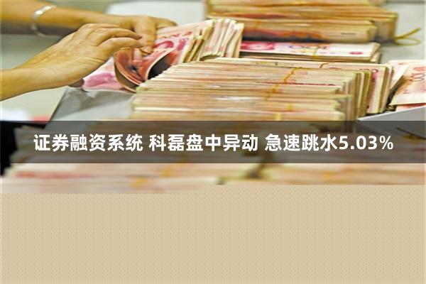 证券融资系统 科磊盘中异动 急速跳水5.03%