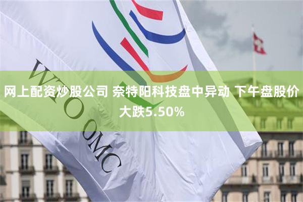 网上配资炒股公司 奈特阳科技盘中异动 下午盘股价大跌5.50%