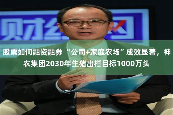 股票如何融资融券 “公司+家庭农场”成效显著，神农集团2030年生猪出栏目标1000万头