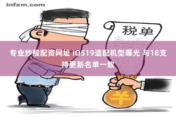 专业炒股配资网址 iOS19适配机型曝光 与18支持更新名单一致