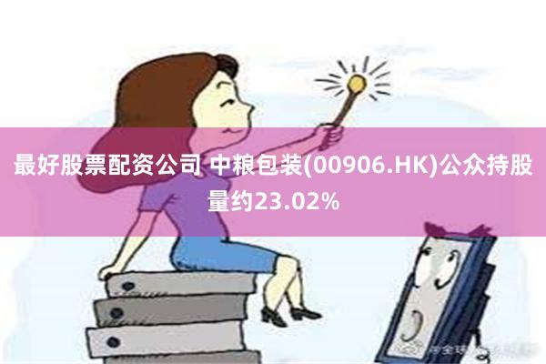 最好股票配资公司 中粮包装(00906.HK)公众持股量约23.02%