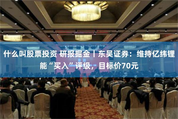 什么叫股票投资 研报掘金丨东吴证券：维持亿纬锂能“买入”评级，目标价70元