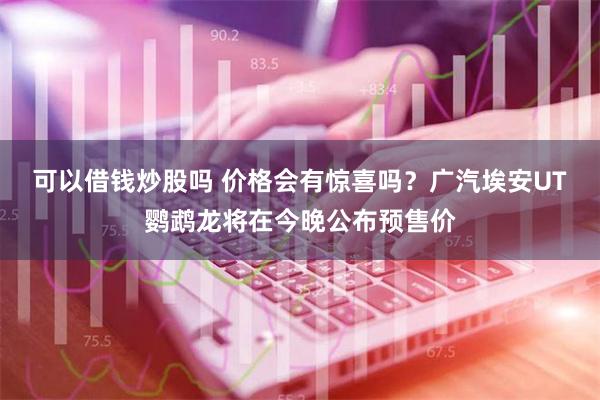 可以借钱炒股吗 价格会有惊喜吗？广汽埃安UT鹦鹉龙将在今晚公布预售价