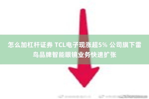 怎么加杠杆证券 TCL电子现涨超5% 公司旗下雷鸟品牌智能眼镜业务快速扩张