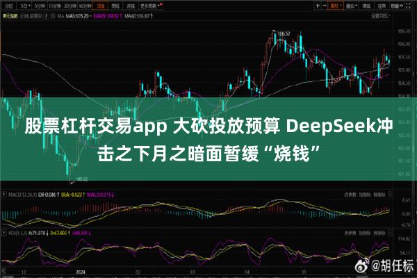 股票杠杆交易app 大砍投放预算 DeepSeek冲击之下月之暗面暂缓“烧钱”